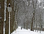 Worpplantsoen, Deventer  (c) Henk Melenhorst : sneeuw, winter, Worpplantsoen